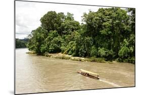 Misahualli in The Oriente, head of navigation on Rio Napo (Amazon), Ecuador, South America-Tony Waltham-Mounted Photographic Print