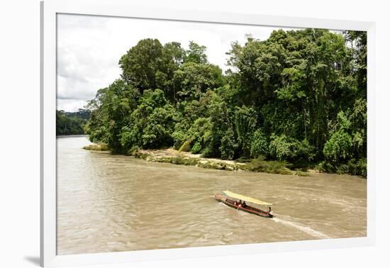 Misahualli in The Oriente, head of navigation on Rio Napo (Amazon), Ecuador, South America-Tony Waltham-Framed Photographic Print