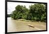 Misahualli in The Oriente, head of navigation on Rio Napo (Amazon), Ecuador, South America-Tony Waltham-Framed Photographic Print