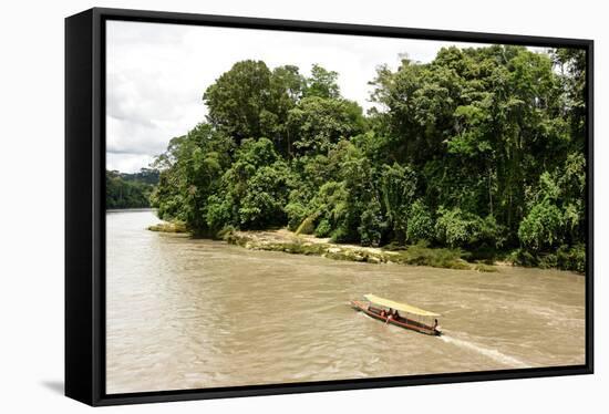 Misahualli in The Oriente, head of navigation on Rio Napo (Amazon), Ecuador, South America-Tony Waltham-Framed Stretched Canvas