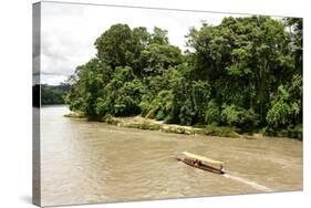 Misahualli in The Oriente, head of navigation on Rio Napo (Amazon), Ecuador, South America-Tony Waltham-Stretched Canvas