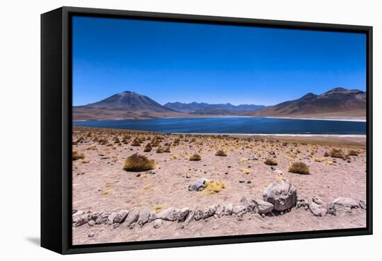 Miscanti Lagoon, Atacama Desert, Chili-Françoise Gaujour-Framed Stretched Canvas