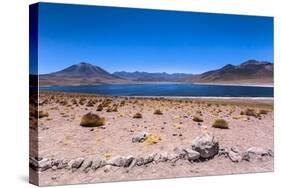 Miscanti Lagoon, Atacama Desert, Chili-Françoise Gaujour-Stretched Canvas