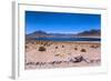 Miscanti Lagoon, Atacama Desert, Chili-Françoise Gaujour-Framed Photographic Print