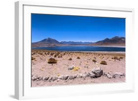 Miscanti Lagoon, Atacama Desert, Chili-Françoise Gaujour-Framed Photographic Print