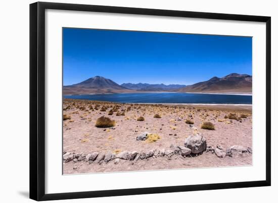 Miscanti Lagoon, Atacama Desert, Chili-Françoise Gaujour-Framed Photographic Print