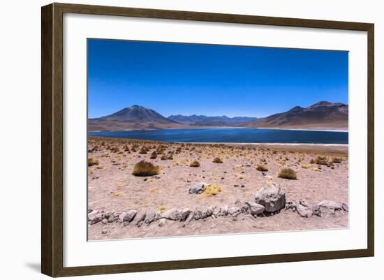 Miscanti Lagoon, Atacama Desert, Chili-Françoise Gaujour-Framed Photographic Print