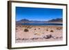 Miscanti Lagoon, Atacama Desert, Chili-Françoise Gaujour-Framed Photographic Print
