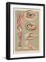 Miscellaneous Anatomical Drawings-null-Framed Art Print