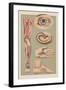 Miscellaneous Anatomical Drawings-null-Framed Art Print