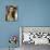 Mischa Barton-null-Photo displayed on a wall