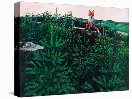 Mischevious Red Fox-Stan Galli-Stretched Canvas