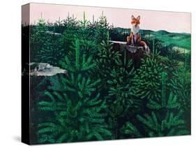 Mischevious Red Fox-Stan Galli-Stretched Canvas