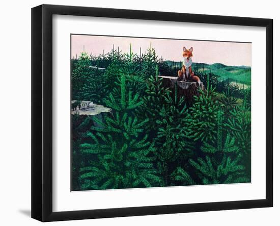 Mischevious Red Fox-Stan Galli-Framed Giclee Print