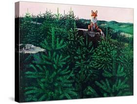 Mischevious Red Fox-Stan Galli-Stretched Canvas