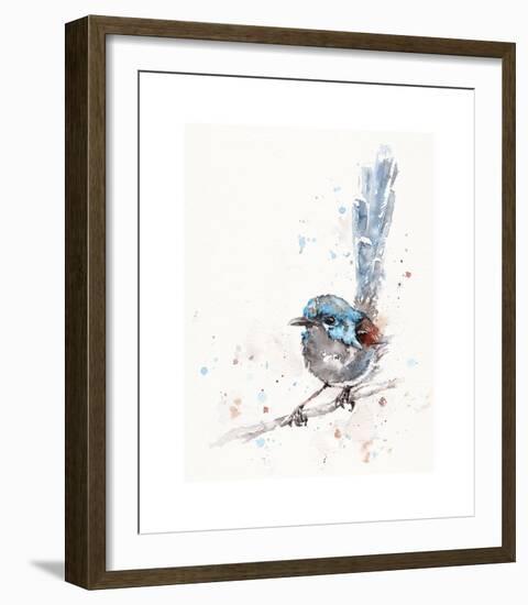 Mischief in the Making (Variegated Fairy Wren)-Sillier than Sally-Framed Giclee Print