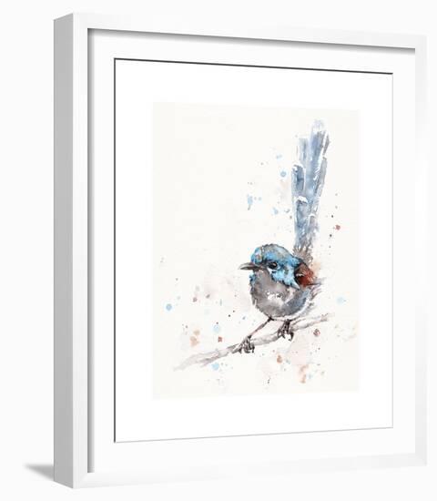 Mischief in the Making (Variegated Fairy Wren)-Sillier than Sally-Framed Giclee Print