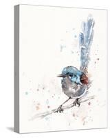 Mischief in the Making (Variegated Fairy Wren)-Sillier than Sally-Stretched Canvas