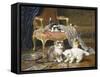 Mischief Makers-Leon Charles Huber-Framed Stretched Canvas