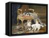 Mischief Makers-Leon Charles Huber-Framed Stretched Canvas