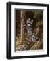 Mischief Makers-Trevor V. Swanson-Framed Giclee Print