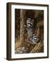 Mischief Makers-Trevor V. Swanson-Framed Giclee Print