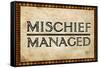 Mischief Managed Movie Print Poster-null-Framed Stretched Canvas