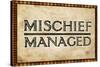 Mischief Managed Movie Print Poster-null-Stretched Canvas