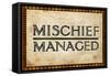 Mischief Managed-null-Framed Stretched Canvas