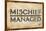 Mischief Managed-null-Mounted Poster