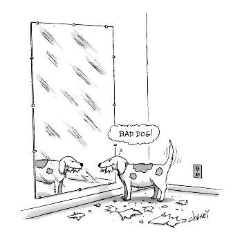 Mischievous dog, looking at self in mirror, thinking 'Bad dog!' - New Yorker Cartoon' Premium Giclee Print - Tom Cheney Mischievous dog, looking at self in mirror, thinking 'Bad dog!' - New Yorker Cartoon' Premium Giclee Print - Tom Cheney
