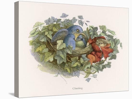 Mischievous Elf Raids a Birds' Nest-Richard Doyle-Stretched Canvas