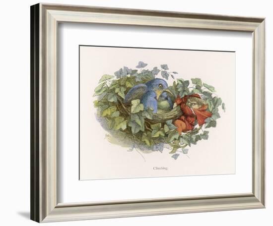 Mischievous Elf Raids a Birds' Nest-Richard Doyle-Framed Art Print