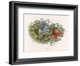 Mischievous Elf Raids a Birds' Nest-Richard Doyle-Framed Art Print