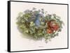 Mischievous Elf Raids a Birds' Nest-Richard Doyle-Framed Stretched Canvas