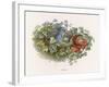 Mischievous Elf Raids a Birds' Nest-Richard Doyle-Framed Art Print