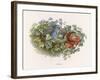 Mischievous Elf Raids a Birds' Nest-Richard Doyle-Framed Art Print