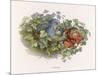 Mischievous Elf Raids a Birds' Nest-Richard Doyle-Mounted Art Print