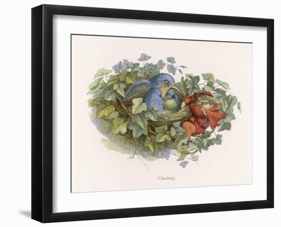 Mischievous Elf Raids a Birds' Nest-Richard Doyle-Framed Art Print