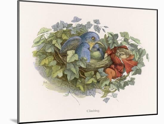 Mischievous Elf Raids a Birds' Nest-Richard Doyle-Mounted Art Print