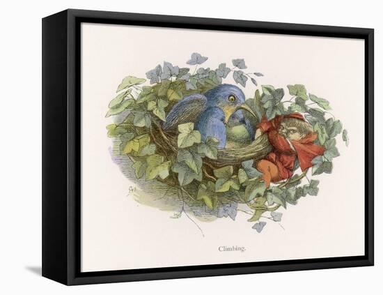 Mischievous Elf Raids a Birds' Nest-Richard Doyle-Framed Stretched Canvas