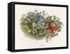 Mischievous Elf Raids a Birds' Nest-Richard Doyle-Framed Stretched Canvas