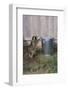 Mischievous Raccoon-DLILLC-Framed Photographic Print