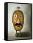 Misfit Potato 2-Leah Saulnier-Framed Stretched Canvas