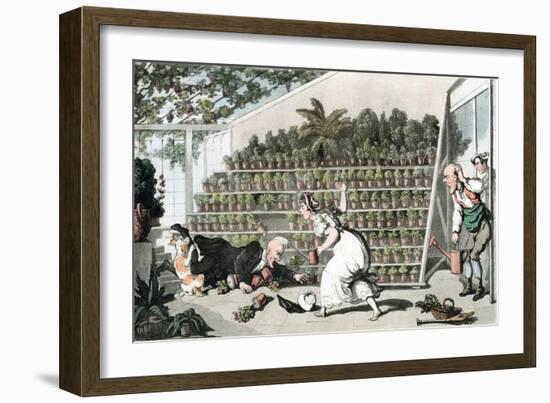 Misfortune in the Tulip Hall, C1816-Thomas Rowlandson-Framed Giclee Print