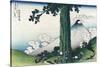 Mishima Pass in Kai Province-Katsushika Hokusai-Stretched Canvas