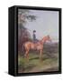 Miss A.L.North on "Ivanhoe"-Heywood Hardy-Framed Stretched Canvas