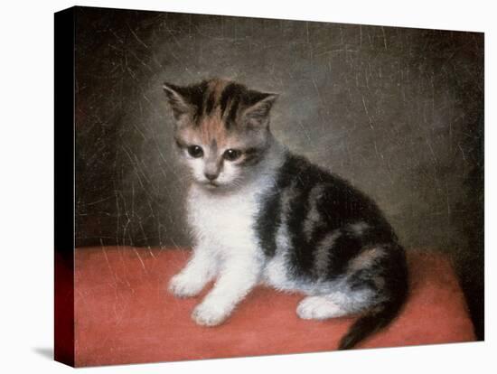 Miss Ann White's Kitten, 1790-George Stubbs-Stretched Canvas