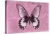 Miss Butterfly Agenor - Pale Violet-Philippe Hugonnard-Stretched Canvas