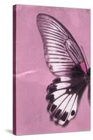 Miss Butterfly Agenor Profil - Pale Violet-Philippe Hugonnard-Stretched Canvas